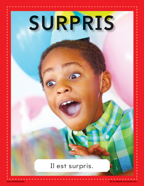 Sentiments-Surpris